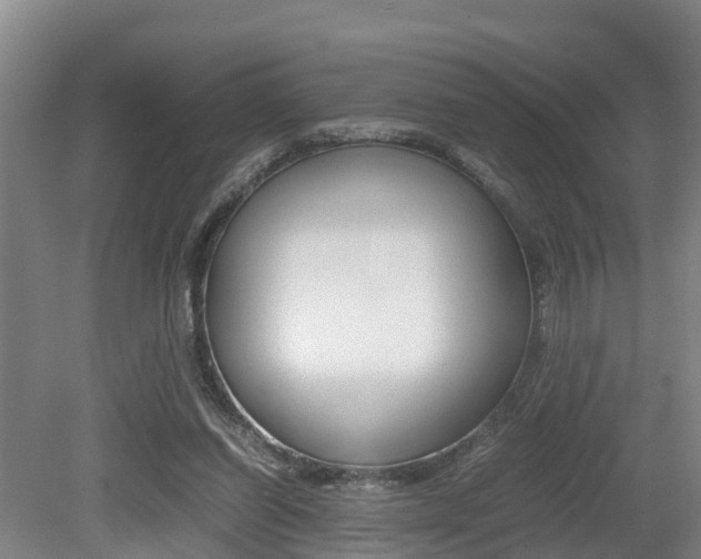 X0000079300254200611170836