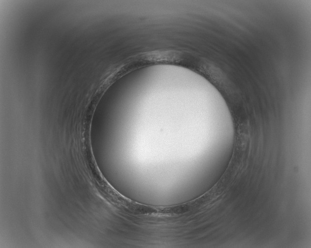 X0000079300255200611170836