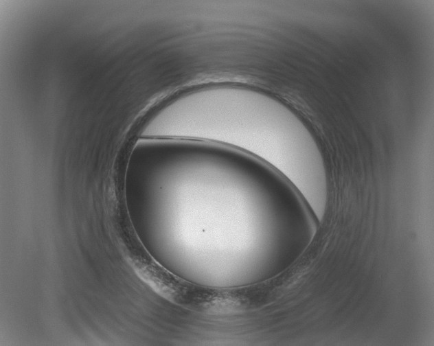 X0000079300256200611170836