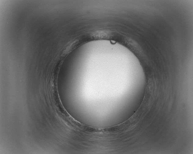 X0000079300259200611170836