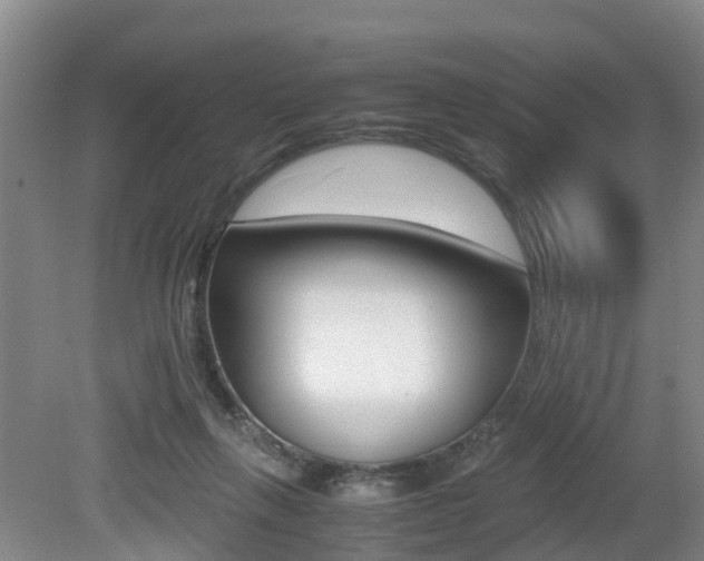 X0000079300263200611170836