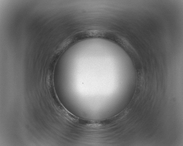X0000079300266200611170836