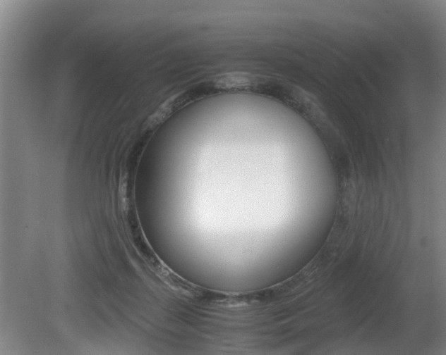 X0000079300267200611170836