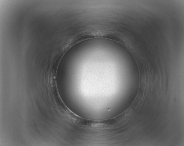 X0000079300268200611170836