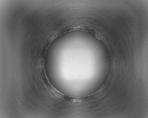 X0000079300272200611170837