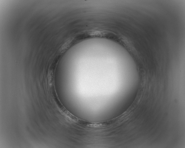 X0000079300273200611170837