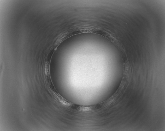 X0000079300287200611170837