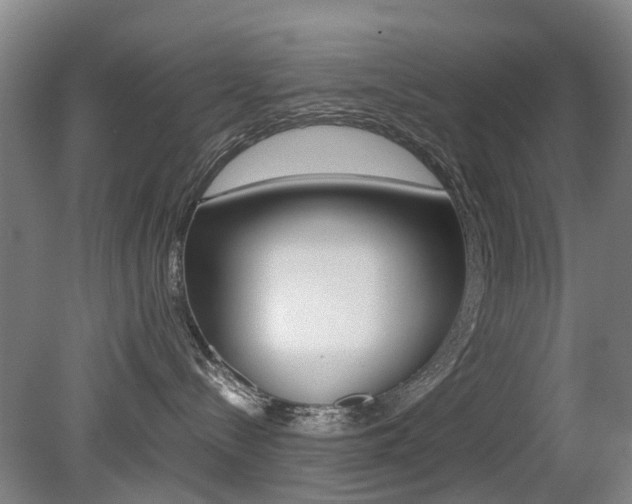 X0000079300288200611170837