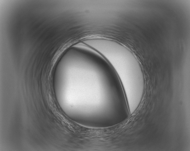 X0000079300289200611170836