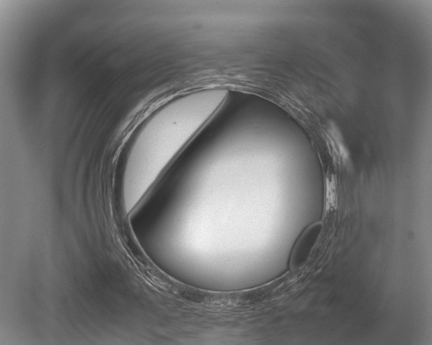 X0000079300291200611170836
