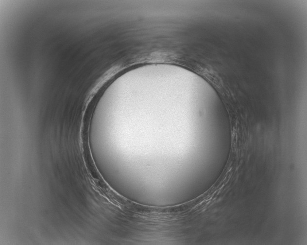 X0000079300292200611170836