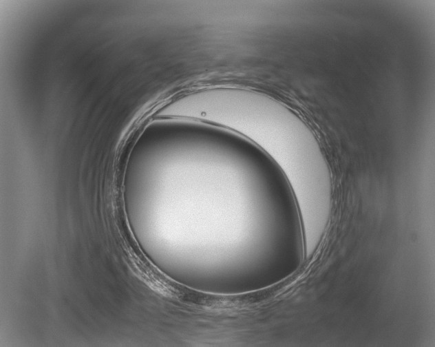 X0000079300293200611170836