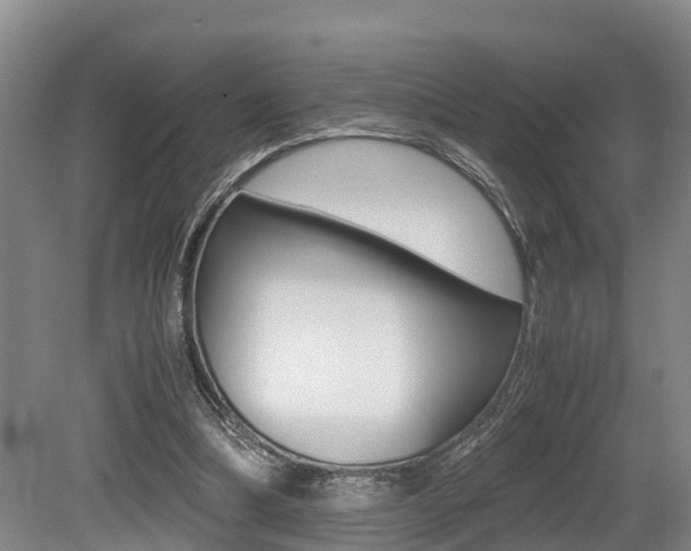 X0000079300298200611170836