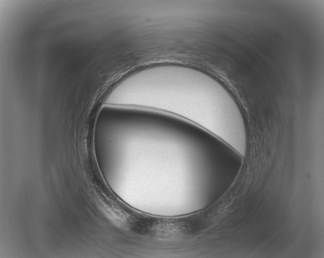 X0000079300299200611170836
