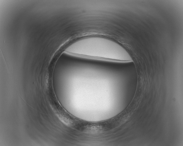 X0000079300304200611170836