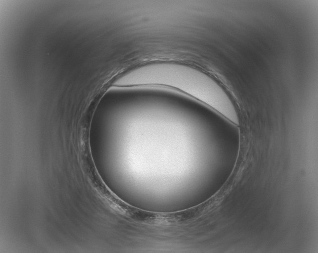 X0000079300305200611170836
