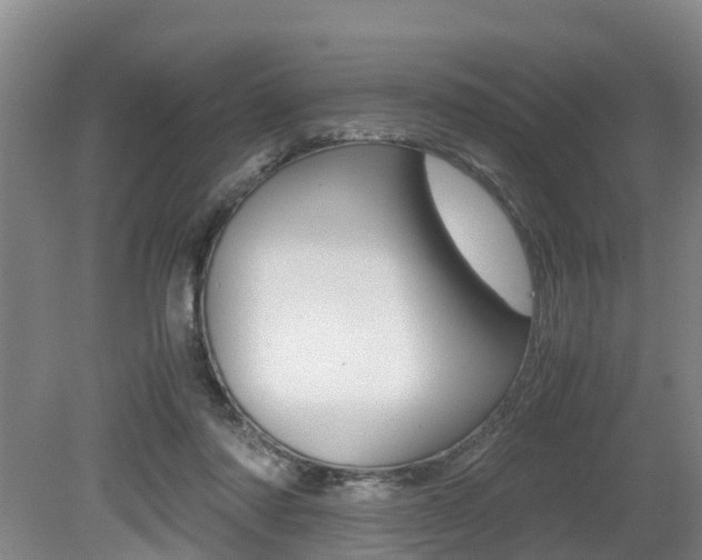 X0000079300310200611170836