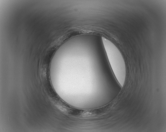 X0000079300315200611170836