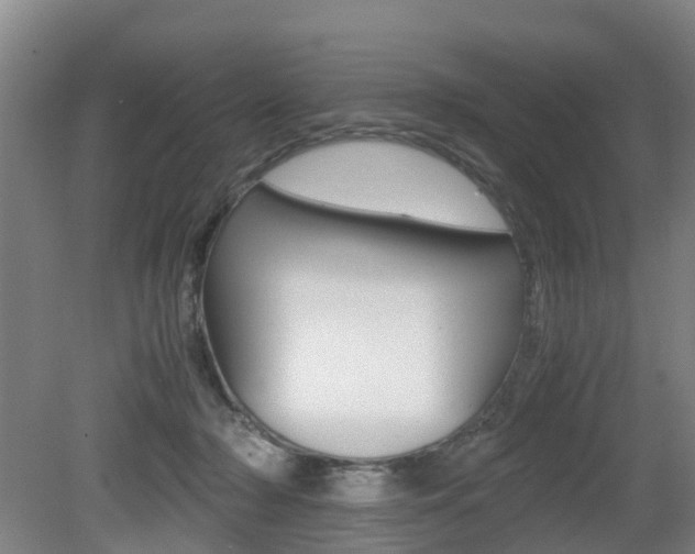 X0000079300318200611170836