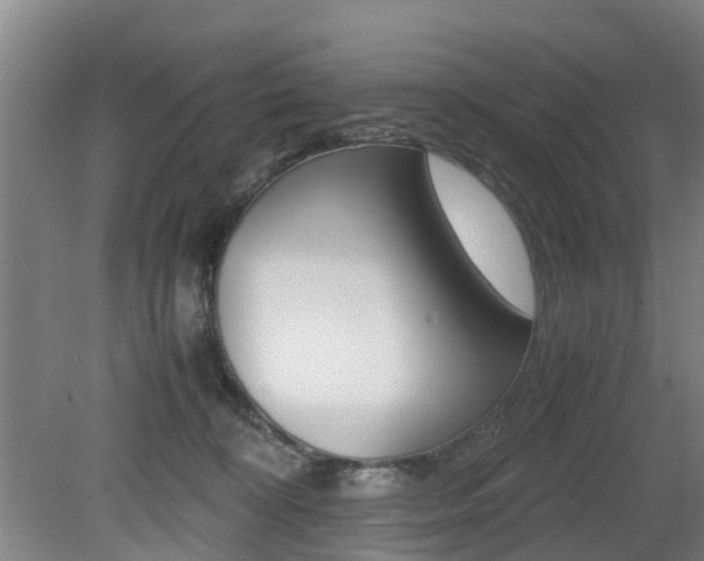 X0000079300324200611170835