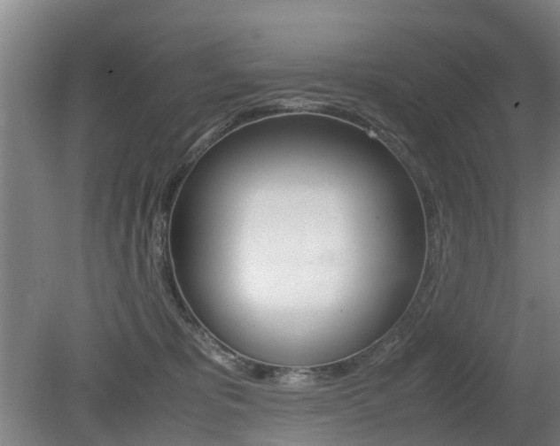 X0000079300325200611170835