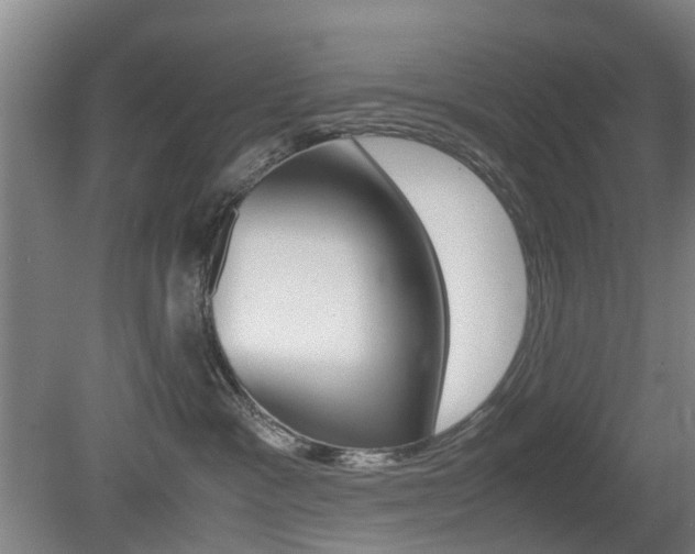 X0000079300333200611170835