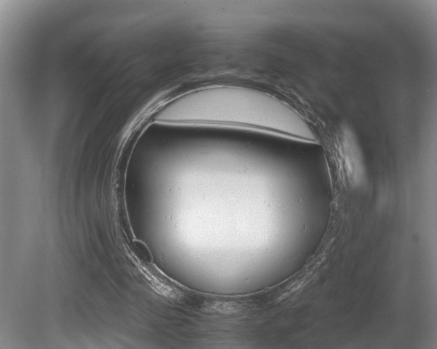 X0000079300341200611170834