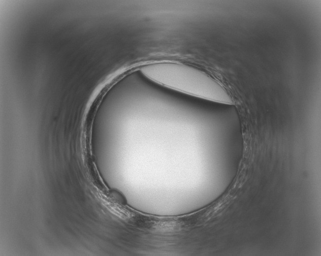 X0000079300342200611170834