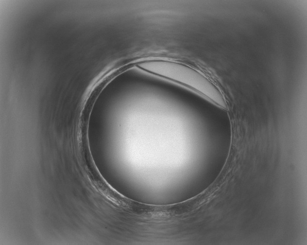 X0000079300344200611170835