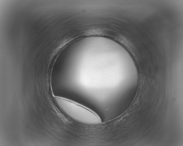 X0000079300345200611170835