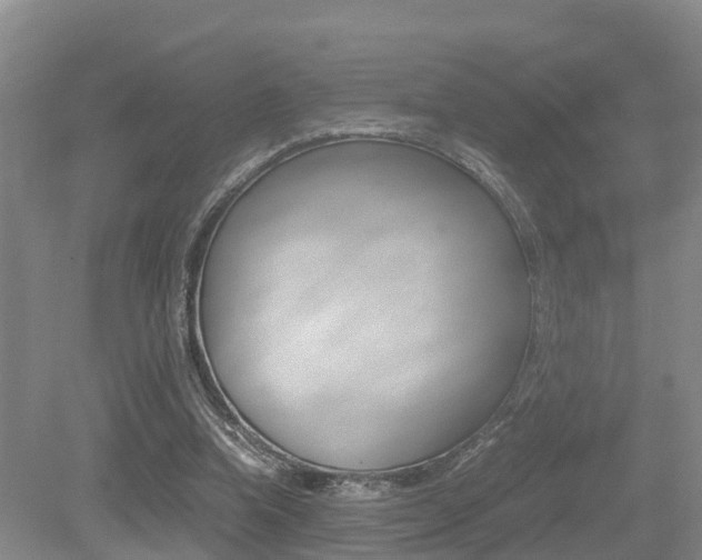 X0000079300346200611170835