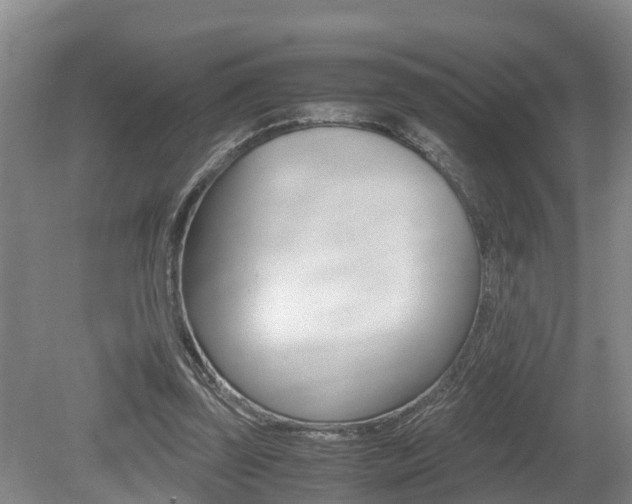 X0000079300347200611170835