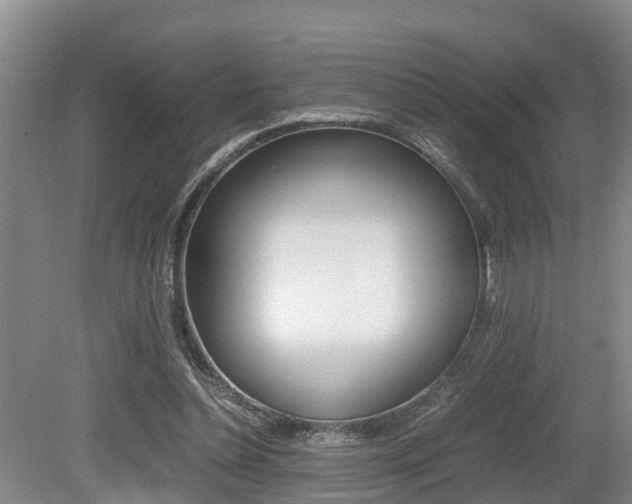 X0000079300348200611170835