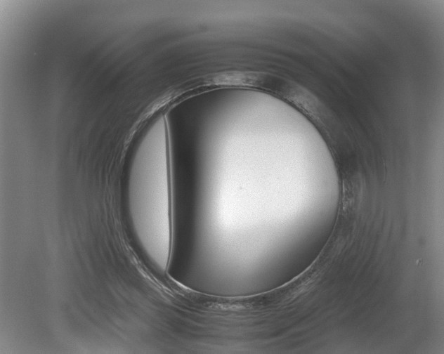 X0000079300349200611170835