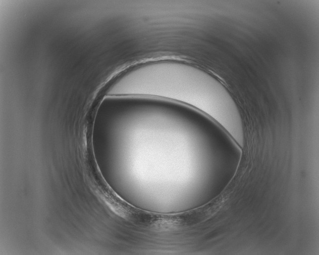 X0000079300350200611170835