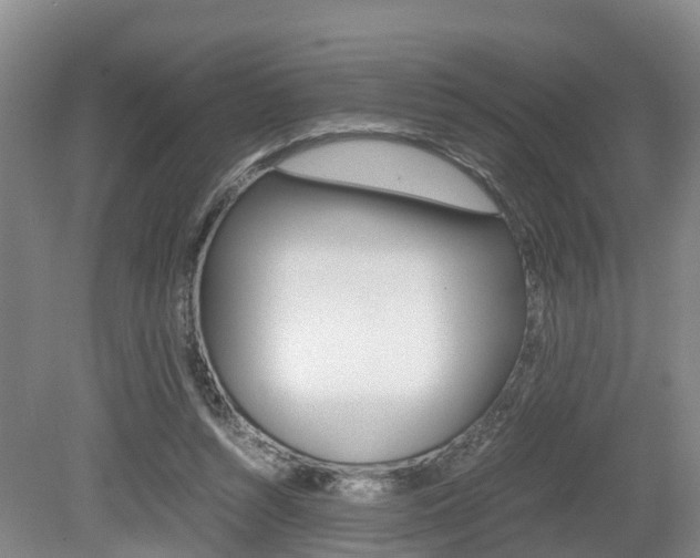 X0000079300352200611170835