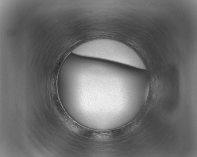 X0000079300359200611170835