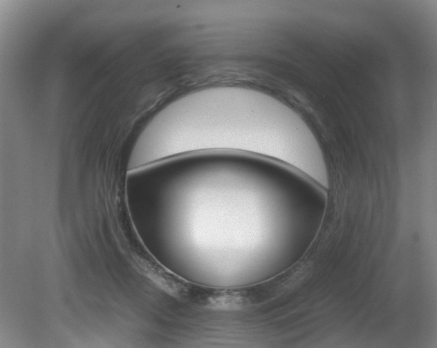 X0000079300362200611170835