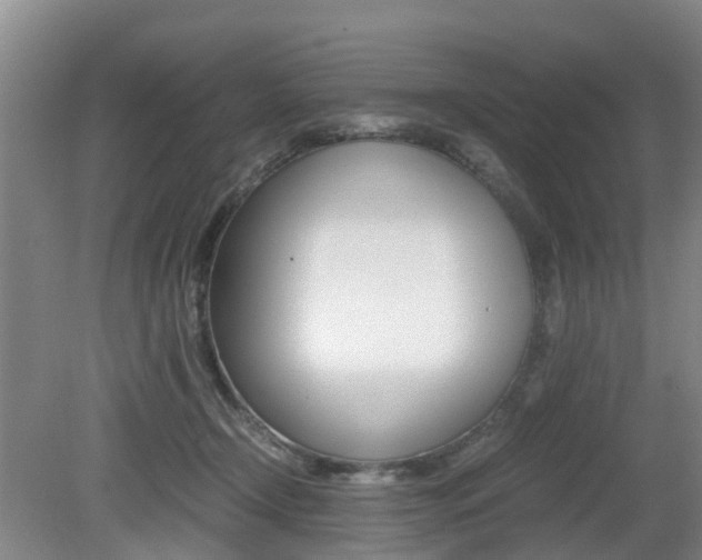 X0000079300366200611170835
