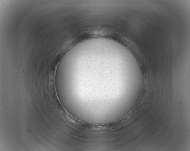 X0000079300369200611170835