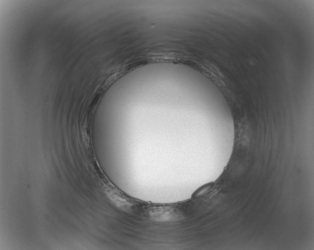 X0000079300377200611170835
