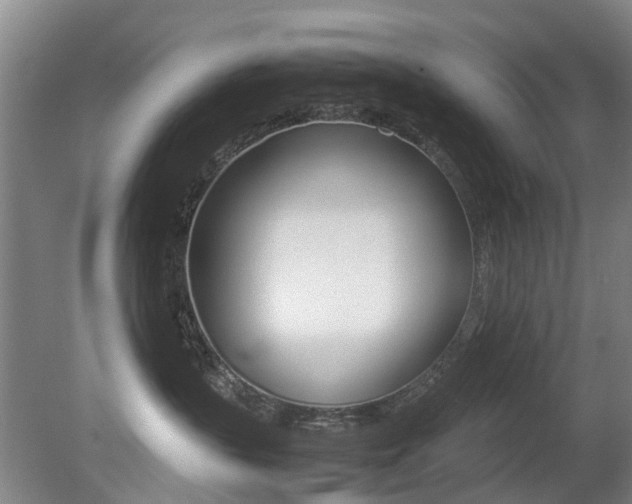 X0000079300383200611170835