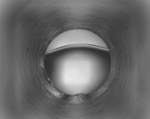 X0000079300384200611170835