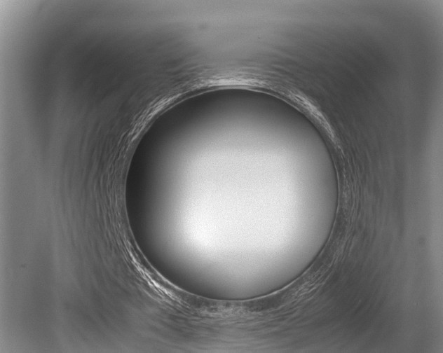 X0000079300385200611170834