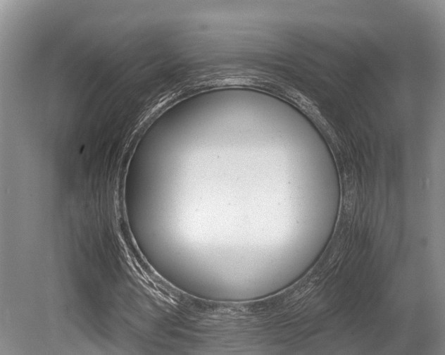X0000079300386200611170834