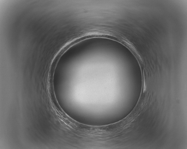 X0000079300387200611170834