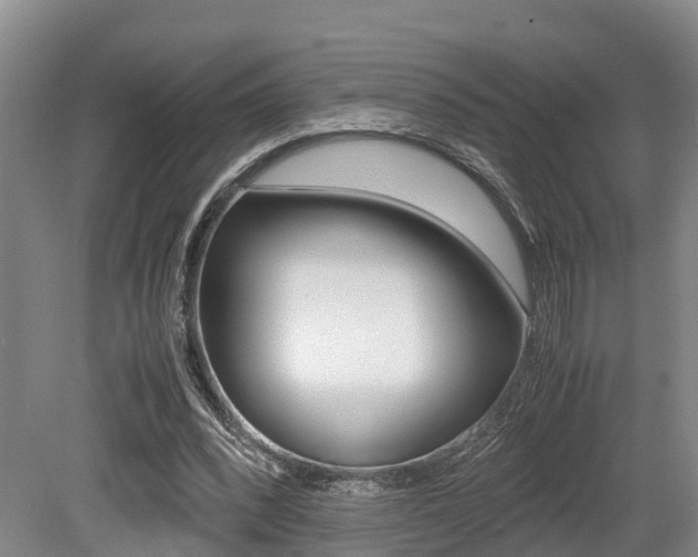 X0000079300392200611170834