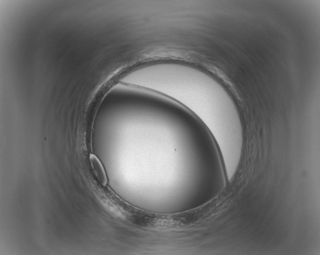 X0000079300399200611170834