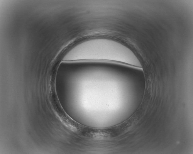 X0000079300400200611170834