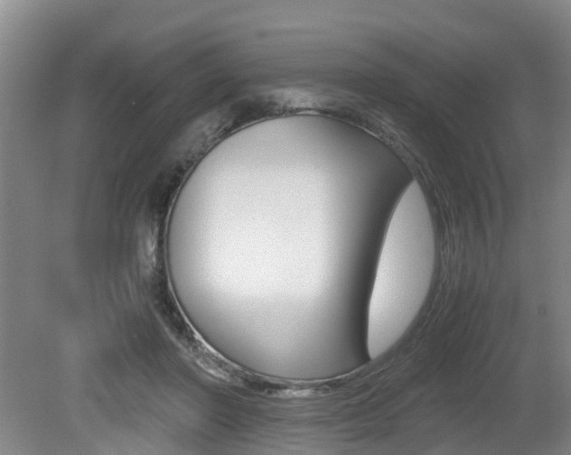 X0000079300406200611170834